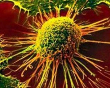 Исследователи открыли сложный генетический секрет угрозы рака
