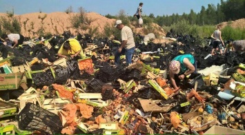 Российские власти за год уничтожили 7,5 тысяч тонн запрещенных продуктов