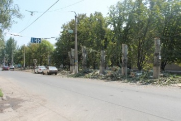 Одну из центральных улиц Славянска не узнать: идет уборка деревьев (фотофакт)