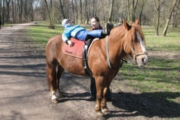 В запорожской "Дубовке" рассказали, почему в парке больше не будет лошадей (ВИДЕО)