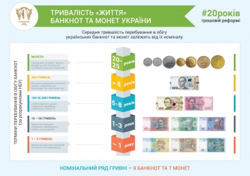 В НБУ рассказали, сколько "живут" украинские банкноты