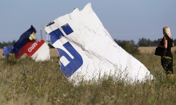 ЕСПЧ начал рассматривать жалобу родственников жертв крушения рейса MH17