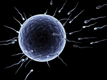 Ученые: Возрастное бесплодие может быть вызвано рубцовыми яичниками