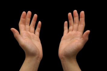 Ученые узнали, что влияет на длину рук и ног