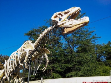 В одесском парке завелся «тираннозавр»