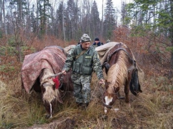 Пограничники помешали незаконной переправке лошадей в Беларусь