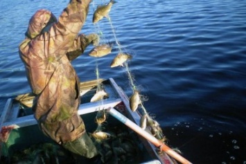 Рыбак с Черниговщины заплатит 7 тысяч за браконьерство в соседней области