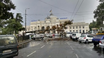 В Одессе создали штаб по ликвидации последствий непогоды: стихия повредила 30 деревьев и затопила улицы