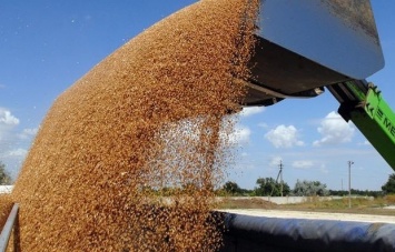 ГФС должна зерновой корпорации 716 млн грн