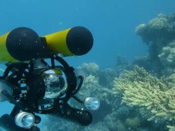 Подводные роботы займутся учетом биологических ресурсов Тихого Океана