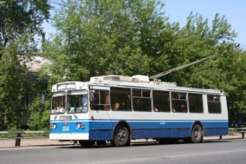 В Одессе из-за упавших деревьев приостановлен ряд троллейбусных маршрутов