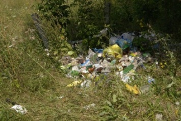 В Покровске (Красноармейске) зоны отдыха превращаются в мусорные свалки