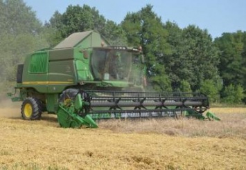 Днепропетровщине хватит пшеницы на год
