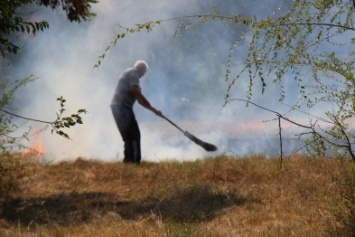 Херсонцы жалуются на горящую траву и тушат ее сами (фото)