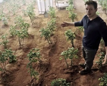 Ученые научились выращивать картофель в грунте с Марса