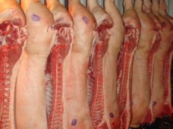 Профилактика АЧС в Николаеве: все 153 свиньи, которые есть в хозяйствах горожан в Терновке и Матвеевке, будут забиты