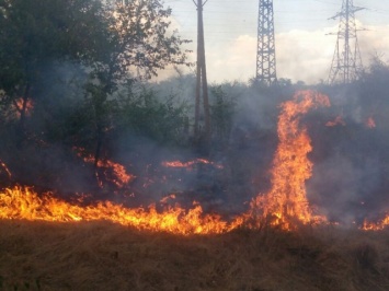 «Горячая пора»: в Кривом Роге с 1 по 8 августа произошло 75 зарегистрированных пожаров