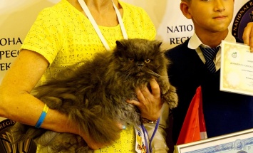 Одесса: умер самый старый в Украине кот