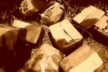 На окраине Александрии в посадку выбросили полтонны какао-масла