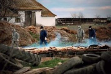 На севере Одесской области зафиксировали вспышку чумы