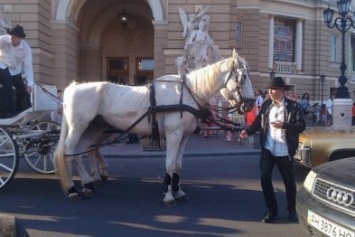В центре Одессы всадницы пустили лошадей галопом в толпу людей