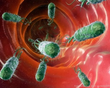 Ученые: Восприимчивость к кишечным бактериям передается на генном уровне