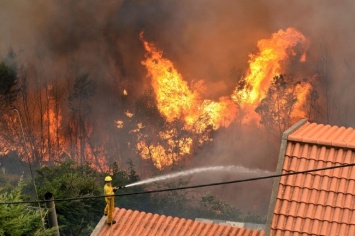 Остров Мадейра в огне: сотни человек эвакуированы из-за сильных лесных пожаров