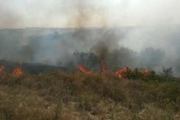 Возле Мариуполя горит трава (ФОТО)