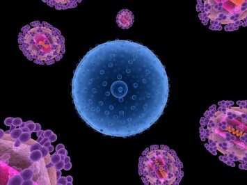 Ученые: Связанные с ВИЧ вирусы могли появиться более 60 млн лет назад