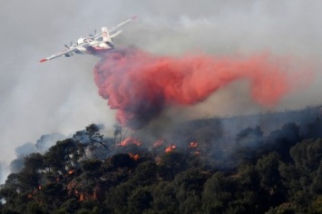 Масштабный лесной пожар на юге Франции вышел из под контроля: огонь подходит к Марселю