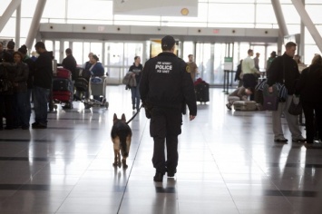 Полиция США изымает подозрительные средства у пассажиров и отпускает