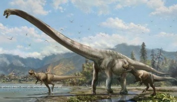 Сибирские ученые заявили о нахождении нового вида динозавров