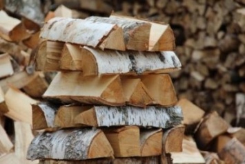 Аксенов поручил выяснить, почем нынче дрова для крымчан