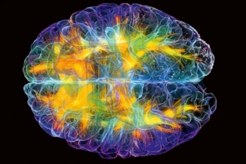 Ученые обнаружили в мозге «центр интуиции»