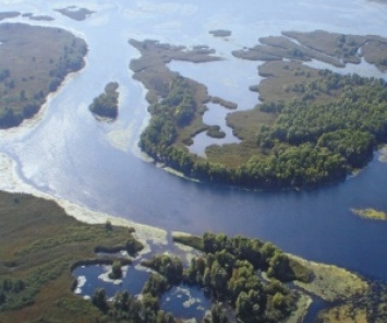 Государству пытаются вернуть почти 12 гектаров земли полуострова Каневского водохранилища