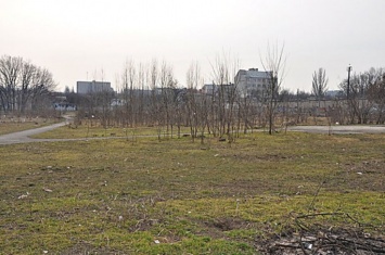 Петиция: Николаевцы просят привести в порядок сквер на Херсонском шоссе, который превратился в мусоросборник