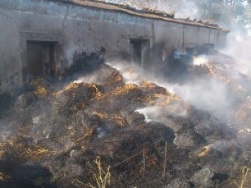 В Очаковском районе сгорел и 1 га сухой травы, и бывший жилой дом, где хранилось сено