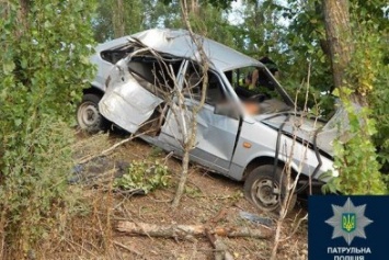 Пьяного черниговского водителя остановило придорожное дерево