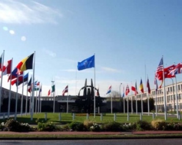 Крымский кризис: в НАТО сказали, кому верят