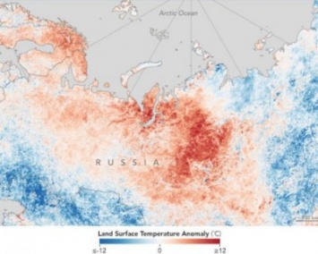 Ученые: Этим летом зафиксированы экстремальные волны тепла