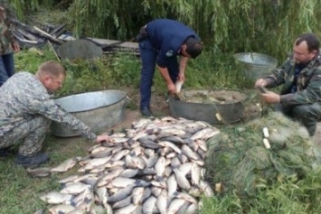 С начала лета полиция изъяла у браконьеров 970 кг незаконной добычи