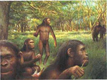 Эволюционисты подтверждают свои теории новыми доказательствами