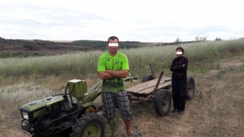 В Одесской области двое молдаван нарушили госграницу с Украиной, чтобы наворовать кукурузы
