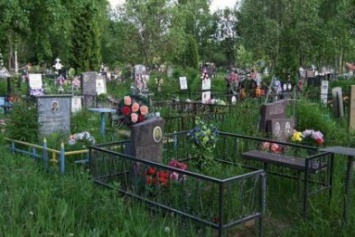Пропавшую в Александрии пенсионерку нашли мертвой на кладбище