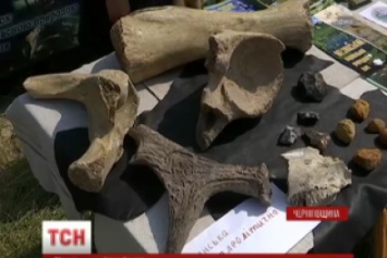 В Черниговской области раскопали музыкальные инструменты, изготовленные 20 тысяч лет тому