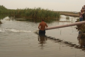В реку Берда около Старопетровки Бердянского района выпустили тысячи мальков осетра
