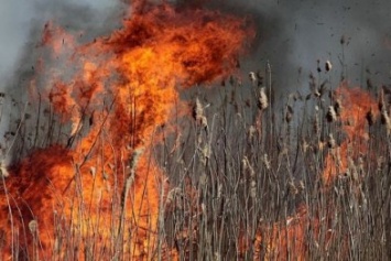 Спасатели Херсонщины проводят профилактические рейды с целью предотвращения пожаров в экосистемах