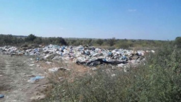 Активисты разоблачили "мусорную мафию" чиновников (фото)