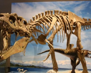 Ученые на Шпицбергене нашли кости неизвестного морского динозавра