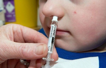 Прививка от гриппа через назальный спрей по эффективности не уступает уколу